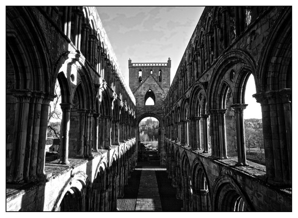 Jedburgh Abbey Picture Board by jane dickie