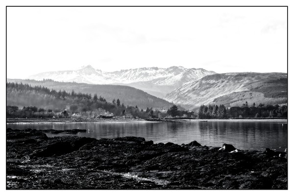 Brodick bay,Arran in mono Picture Board by jane dickie