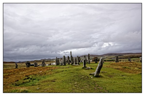 standing stones Callanish,Isle of Lewis Picture Board by jane dickie