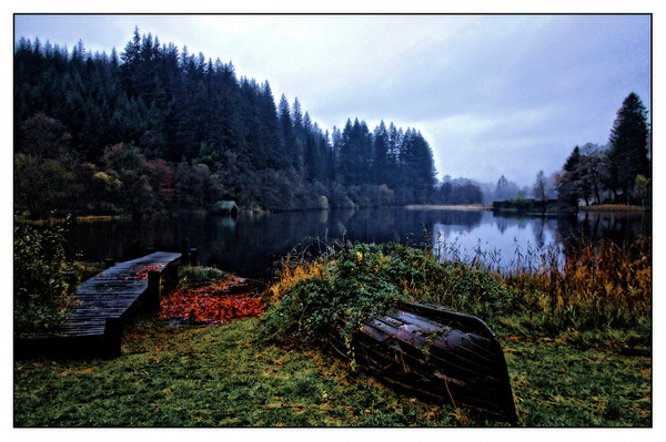 Loch Ard in Autumn Picture Board by jane dickie