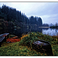 Buy canvas prints of Loch Ard in Autumn by jane dickie