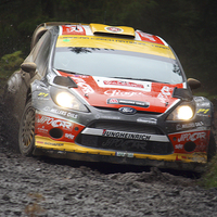 Buy canvas prints of Forest Fury: Ford Fiesta's Prowess by Graham Parry