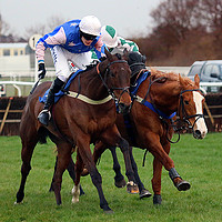 Buy canvas prints of Thrilling Steeplechase Event, Stratford by Graham Parry