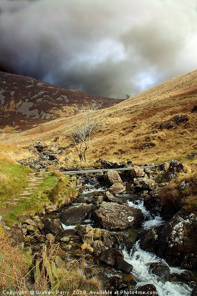 Cadair Idris: Stream's Serenade Picture Board by Graham Parry