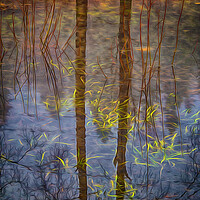 Buy canvas prints of Reflections Of Nature by Clive Eariss