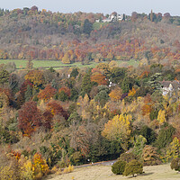 Buy canvas prints of Box Hill Autumn by Clive Eariss