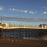 Buy canvas prints of Worthing And Gulls by Clive Eariss