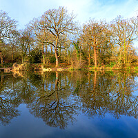 Buy canvas prints of Peaceful Pond by Clive Eariss