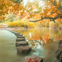 Buy canvas prints of Box Hill Stepping Stones by Clive Eariss