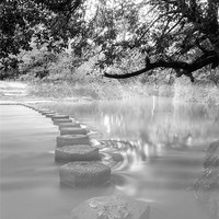 Buy canvas prints of STEPPING STONE MIST by Clive Eariss