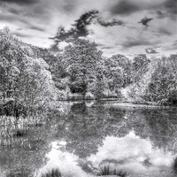 Buy canvas prints of Bookham Common by Clive Eariss