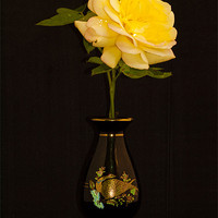 Buy canvas prints of Rose And Vase by Clive Eariss