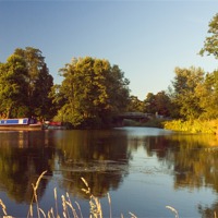 Buy canvas prints of River Wey pyrford by Clive Eariss