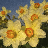 Buy canvas prints of SPRING TIME FLOWERS by Clive Eariss