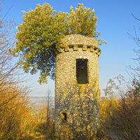 Buy canvas prints of BROADWOODS FOLLY BOX HILL SURREY by Clive Eariss