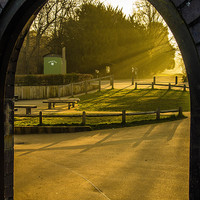 Buy canvas prints of Archway Sunlight Box Hill by Clive Eariss