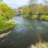 Buy canvas prints of River Mole Leatherhead Surrey by Clive Eariss