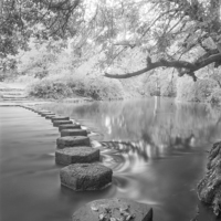 Buy canvas prints of Stepping Stones Box Hill by Clive Eariss