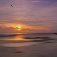 Buy canvas prints of Worthing Beach Sunset by Clive Eariss