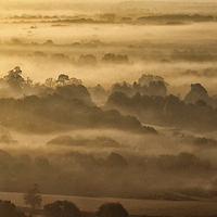 Buy canvas prints of  Morning Mist Box Hill Surrey by Clive Eariss