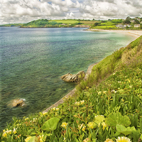 Buy canvas prints of  Falmouth Beach Cornwall by Clive Eariss