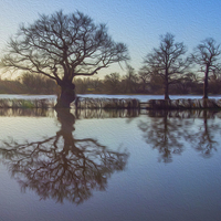 Buy canvas prints of  Winter Flood Cobham by Clive Eariss