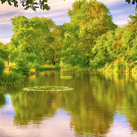 Buy canvas prints of  Some Where In Surrey by Clive Eariss