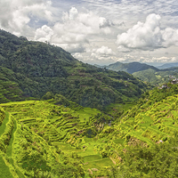 Buy canvas prints of  Banaue Rice Terraces by Clive Eariss