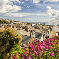 Buy canvas prints of St Ives Cornwall  by Clive Eariss