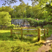 Buy canvas prints of The Brockham Lime Works  by Clive Eariss