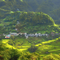 Buy canvas prints of  Baguio Rice Terraces Philippines  by Clive Eariss