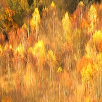 Buy canvas prints of Autumn Box Hill Surrey by Clive Eariss