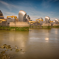 Buy canvas prints of Thames Barrier And Seagull by Clive Eariss