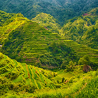 Buy canvas prints of Banaue Rice Terrace Philippines  by Clive Eariss