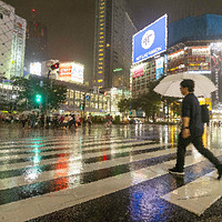 Buy canvas prints of Crossing Alone Shibuya by Clive Eariss