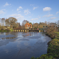 Buy canvas prints of River Wey Surrey by Clive Eariss