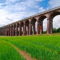 Buy canvas prints of Hampstead Heath Viaduct by Clive Eariss