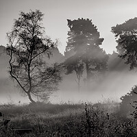 Buy canvas prints of Mist Of Wisley Health by Clive Eariss