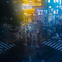 Buy canvas prints of Rain In Shibuya by Clive Eariss