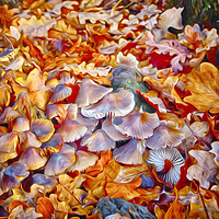 Buy canvas prints of Autumn Mixture by Clive Eariss