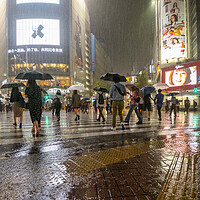 Buy canvas prints of Rainy Night Shibuya by Clive Eariss