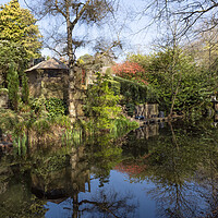 Buy canvas prints of Basingstoke Canal Springtime by Clive Eariss