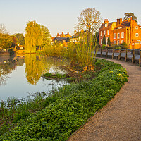 Buy canvas prints of River Mole Cobham by Clive Eariss