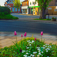 Buy canvas prints of Cobham High Street by Clive Eariss