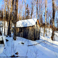Buy canvas prints of Abandoned Hunting Cabin by Peter Castine
