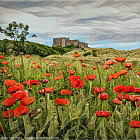 Buy canvas prints of Bamburgh Poppies by Brian Tarr