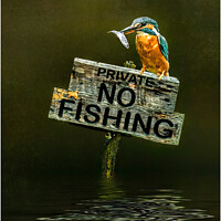 Buy canvas prints of No Fishing by Brian Tarr