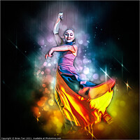 Buy canvas prints of Flamenco Fantasy by Brian Tarr