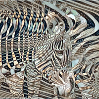 Buy canvas prints of Zebra abstract by Brian Tarr