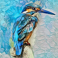 Buy canvas prints of Kingfisher art by Brian Tarr